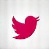 Twitter icon